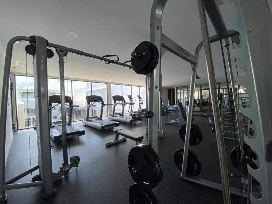 Apartamento Ipana C 102